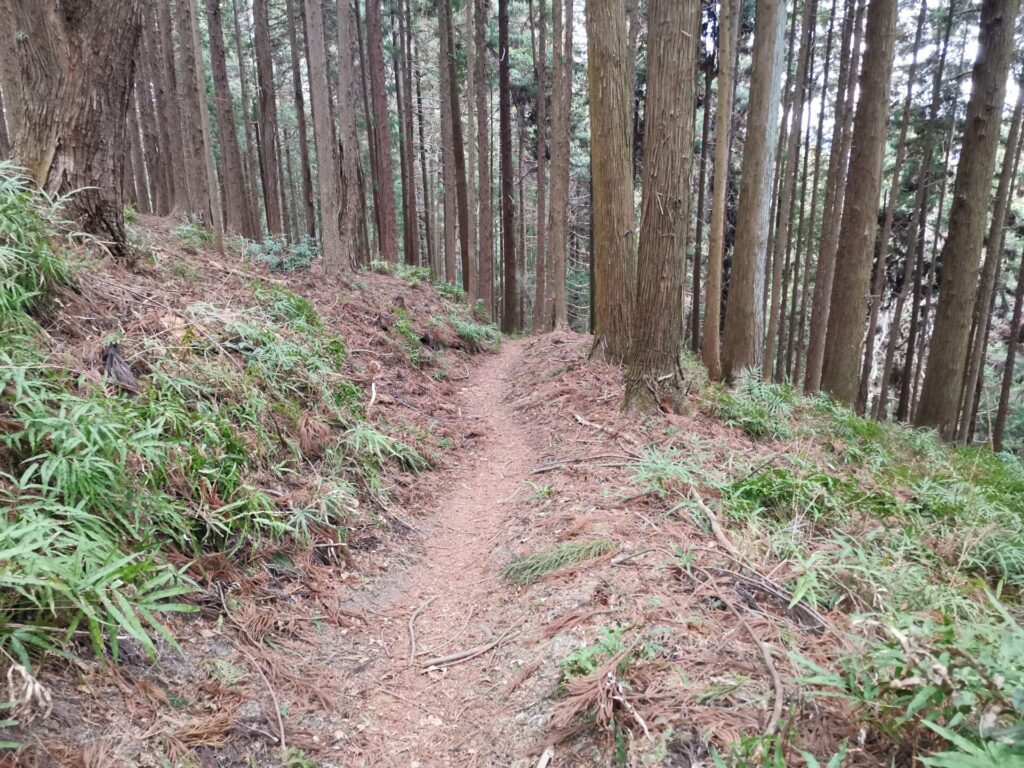 登山道