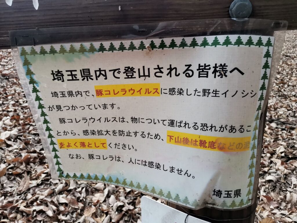 豚コレラウイルス