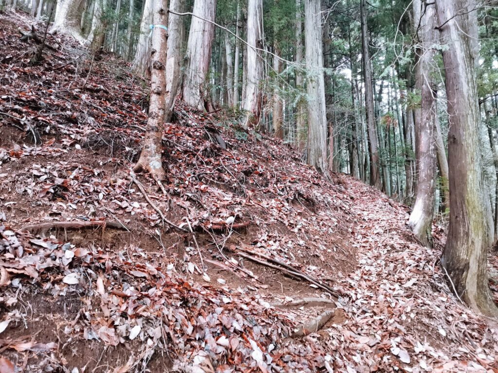 登山道