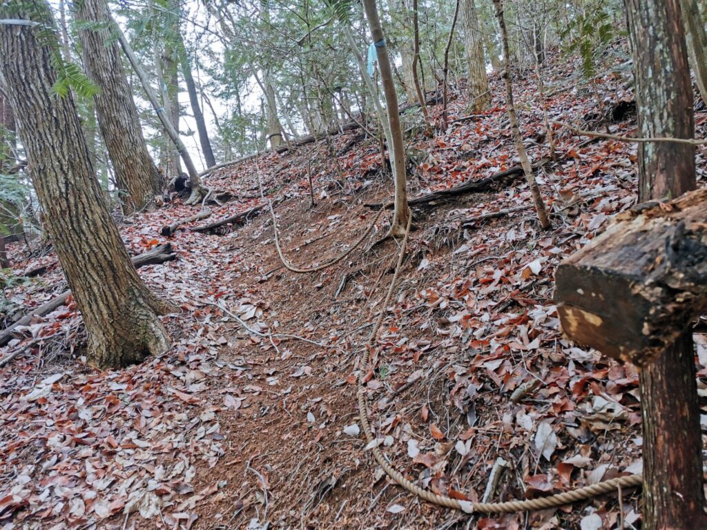 登山道 ロープ