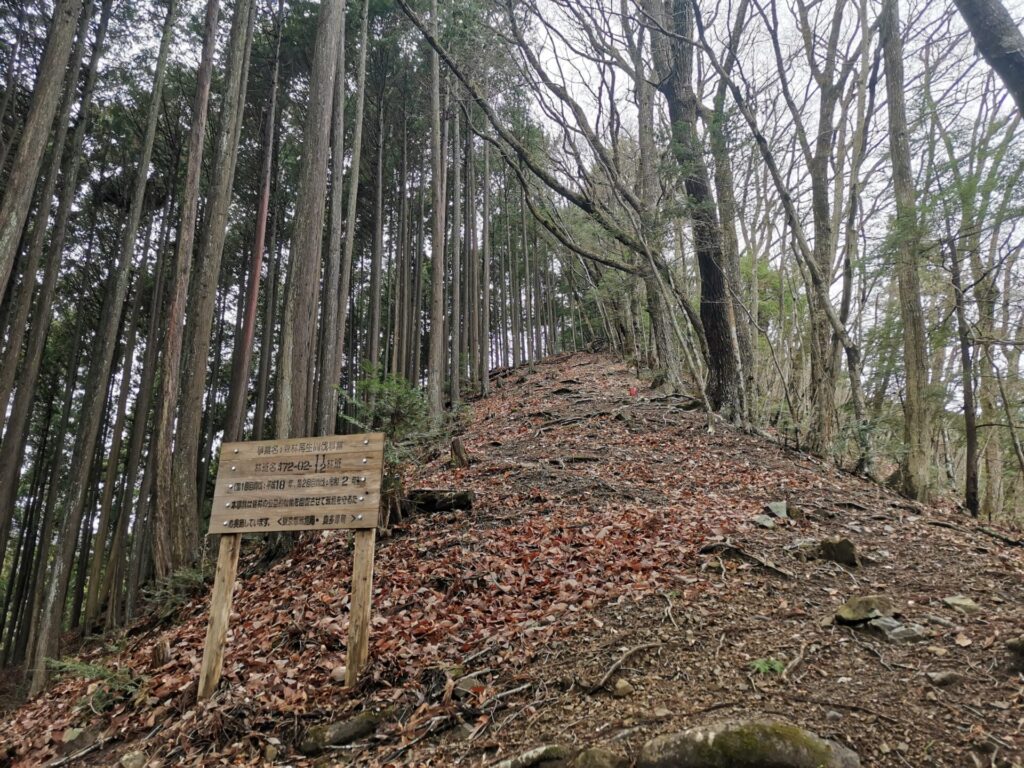 登山道