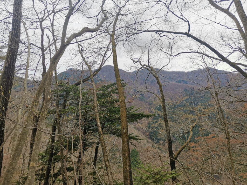 三頭山