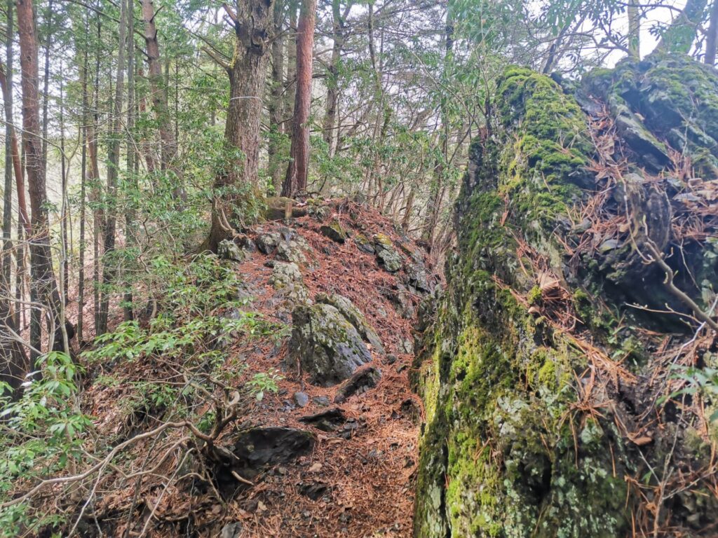 登山道 岩