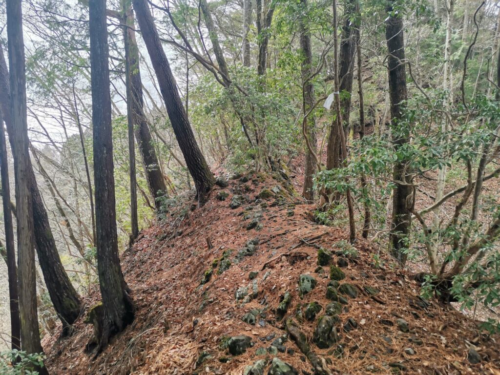 登山道 岩