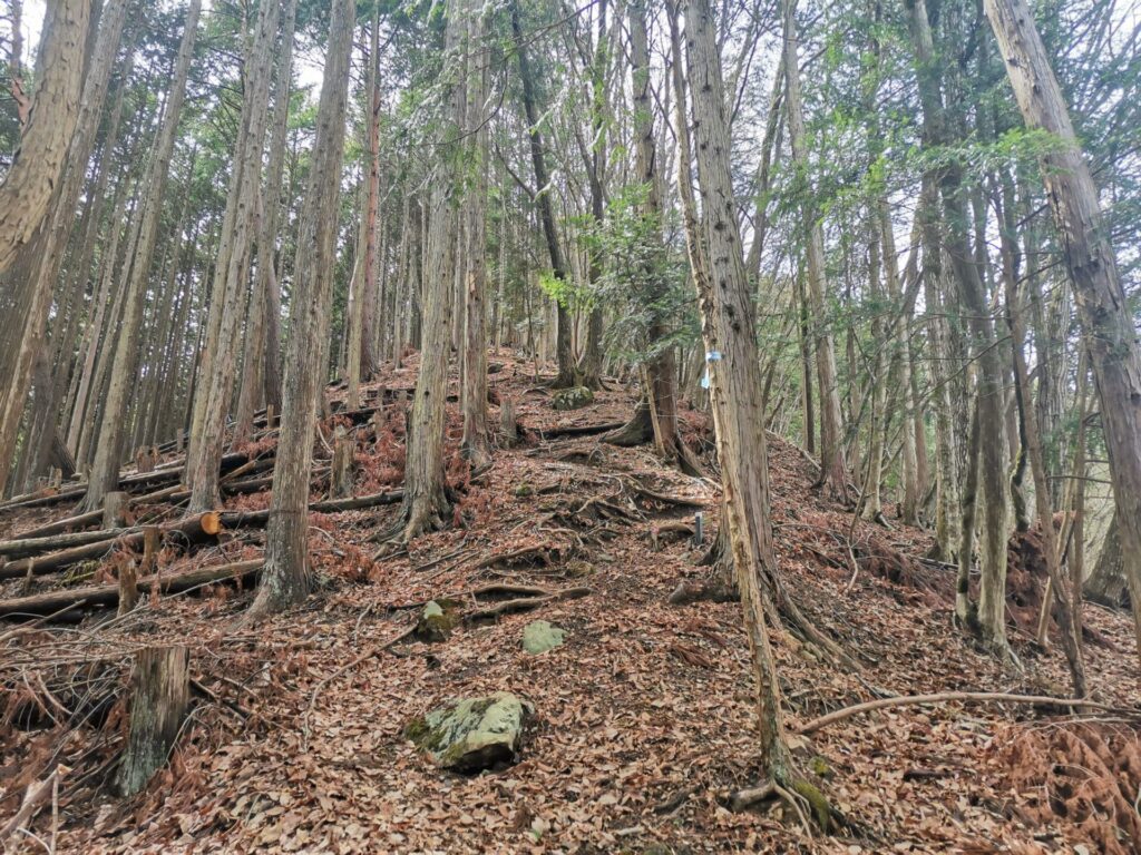 登山道