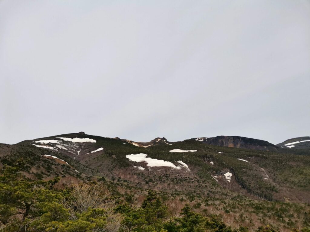 残雪