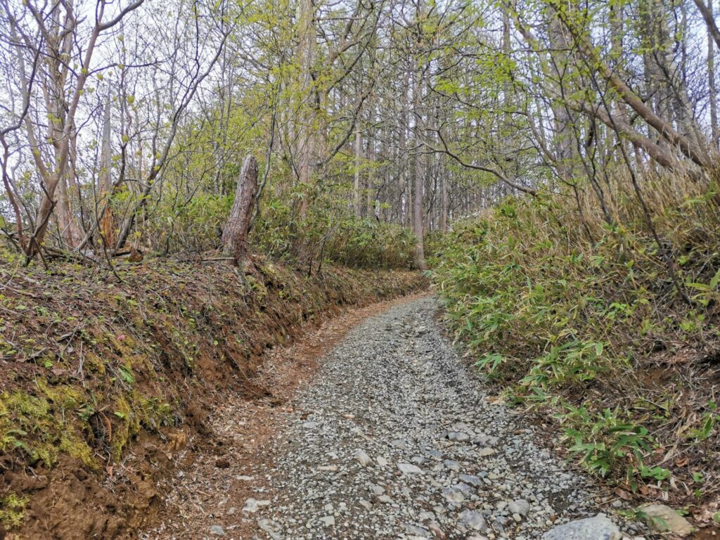 登山道