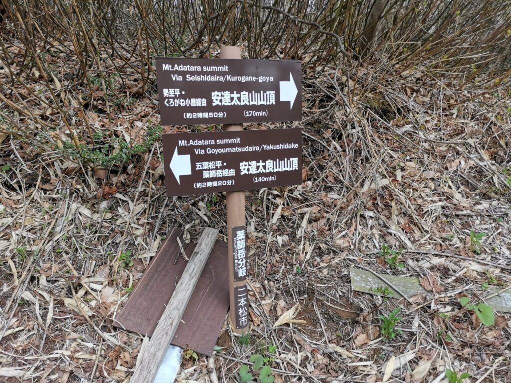 薬師岳分岐