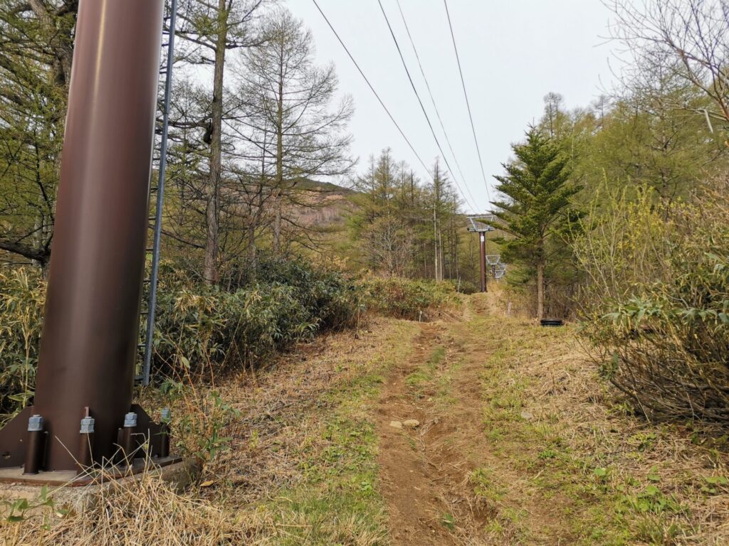 登山道