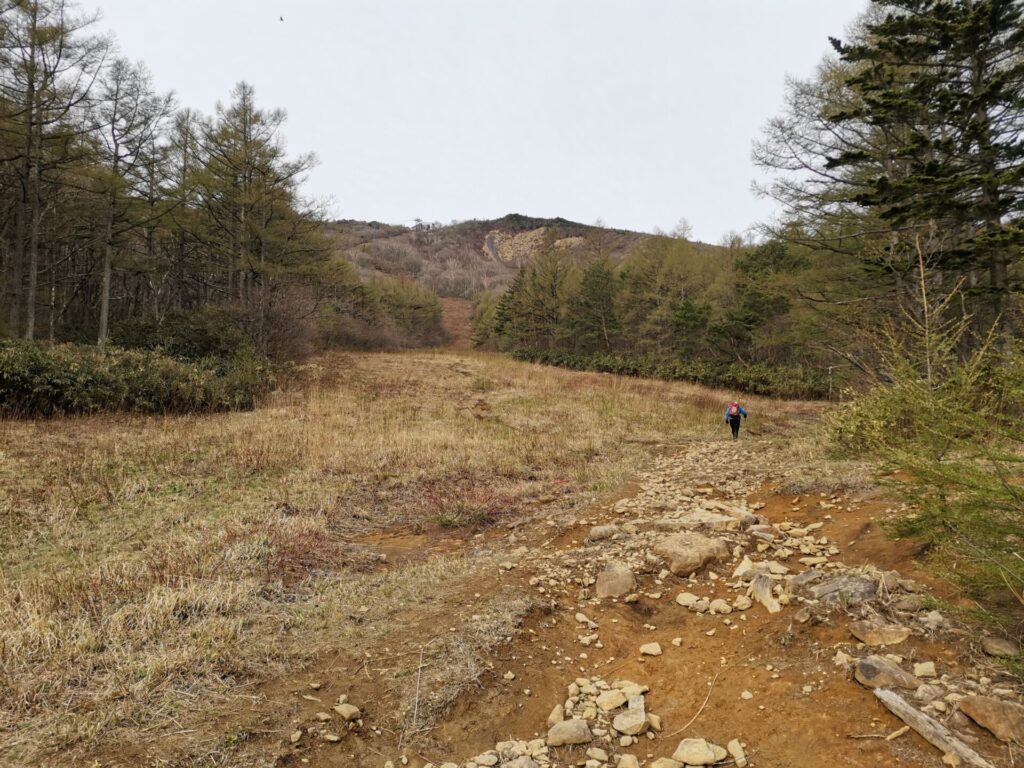 登山道