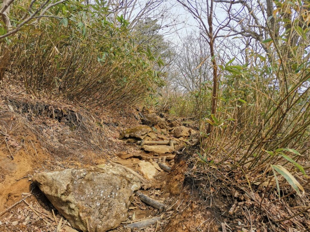 登山道