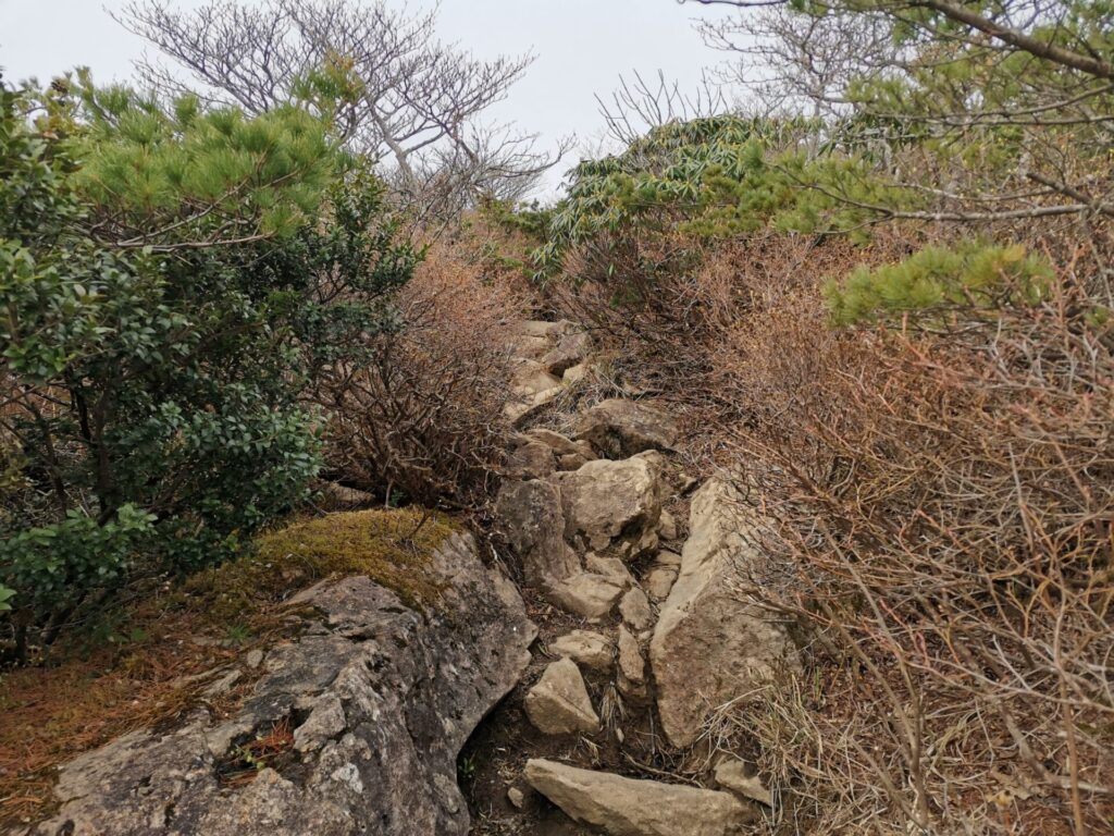 登山道 岩