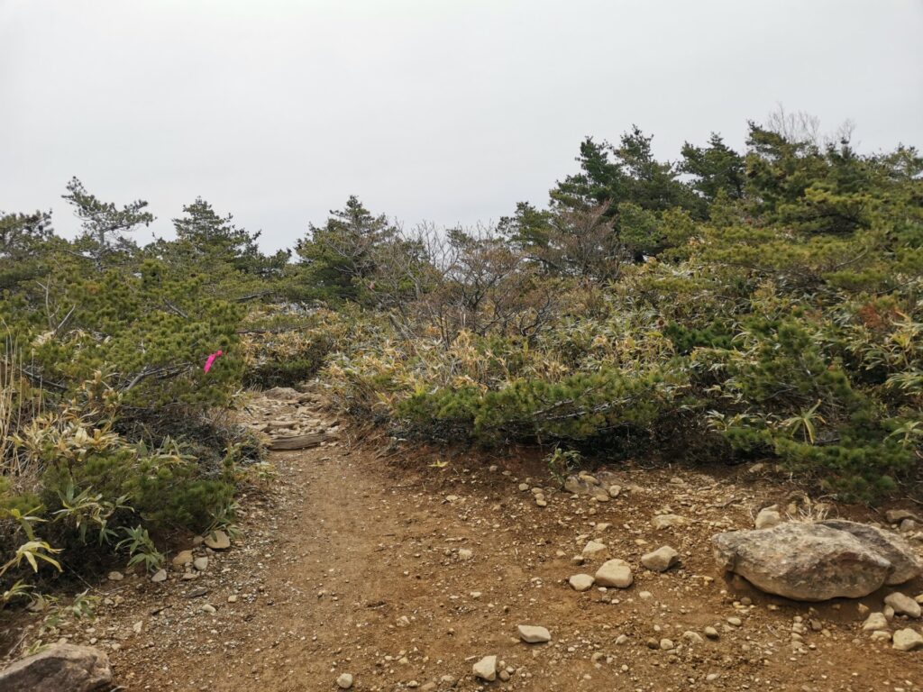 登山道