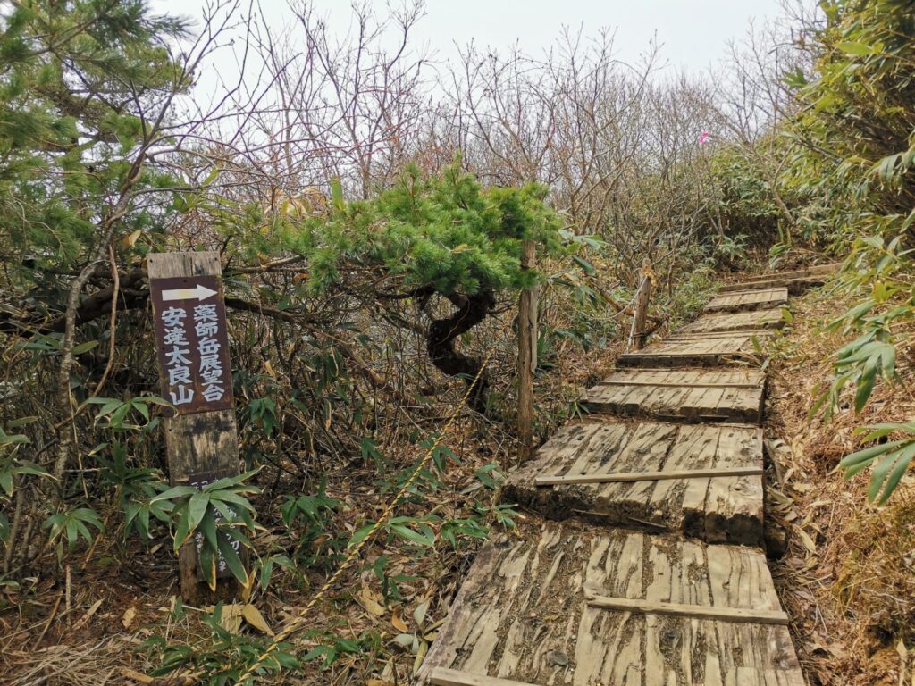 登山道