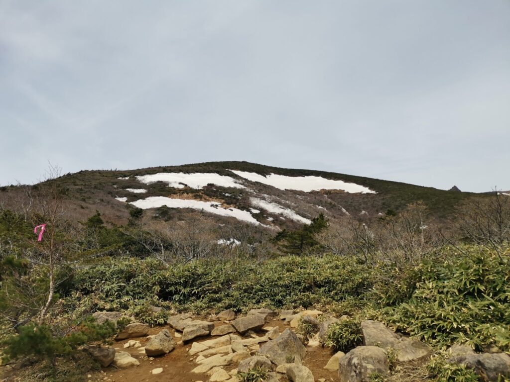 残雪