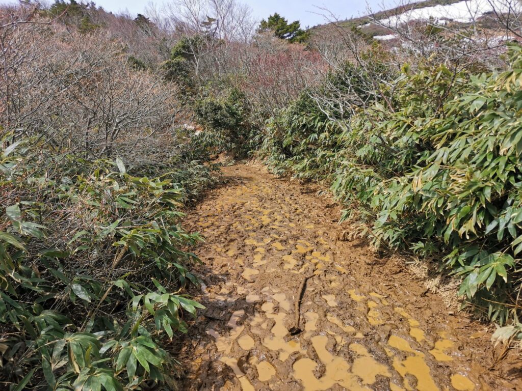 登山道