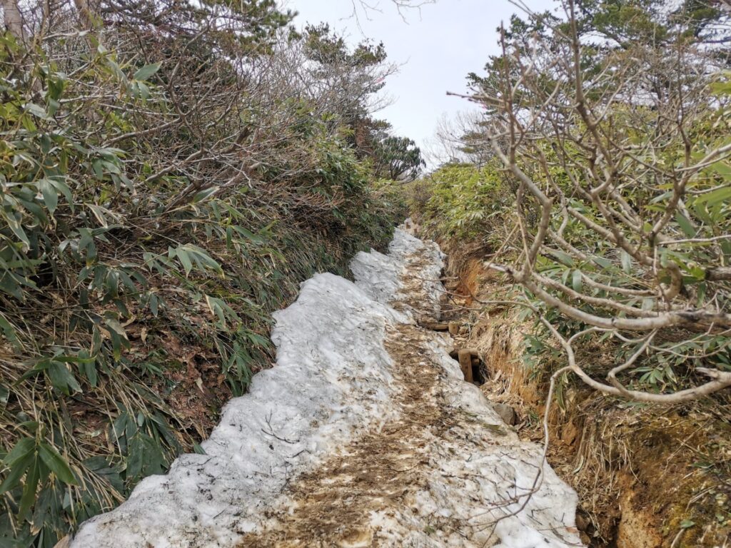 残雪