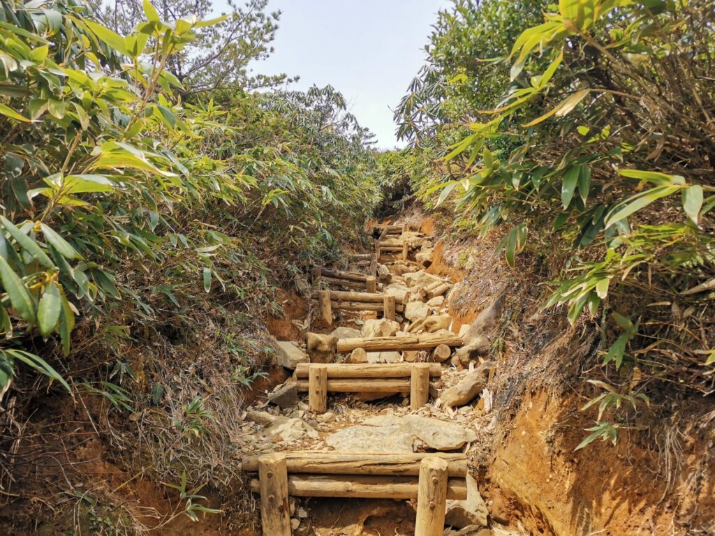 登山道
