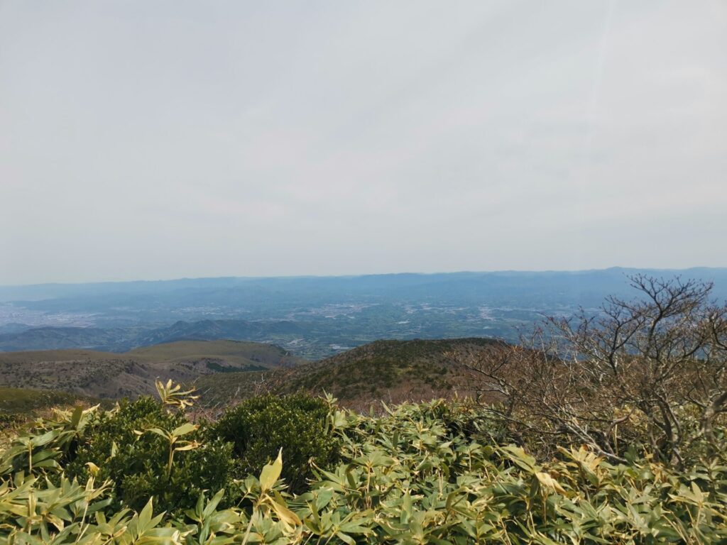 山