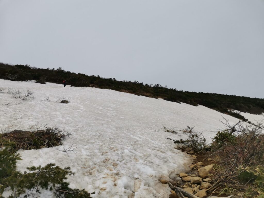 残雪