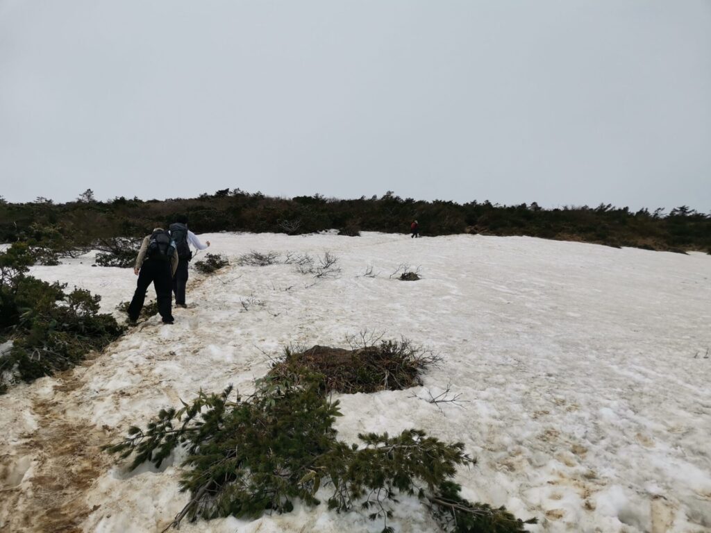 残雪