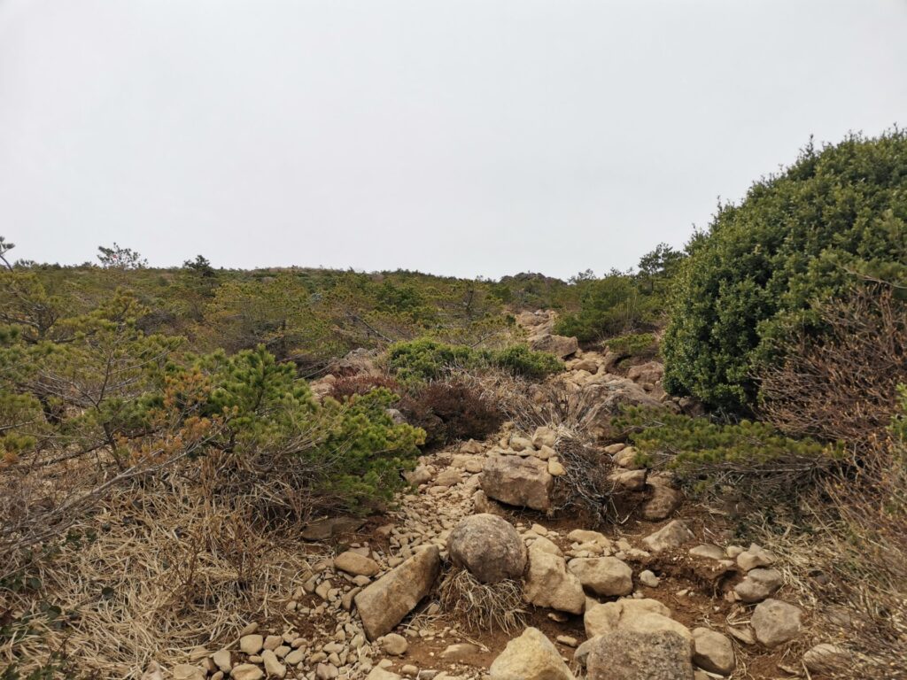 登山道