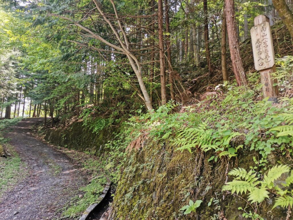 向山 オマキ平 展望台 入口