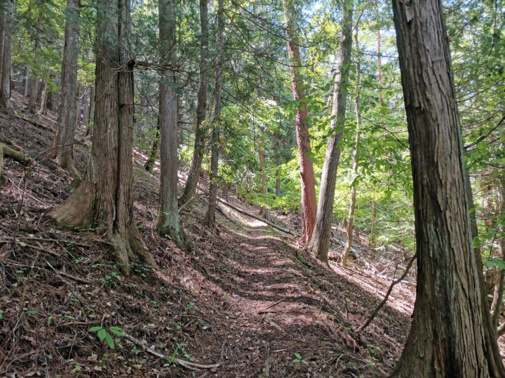 登山道