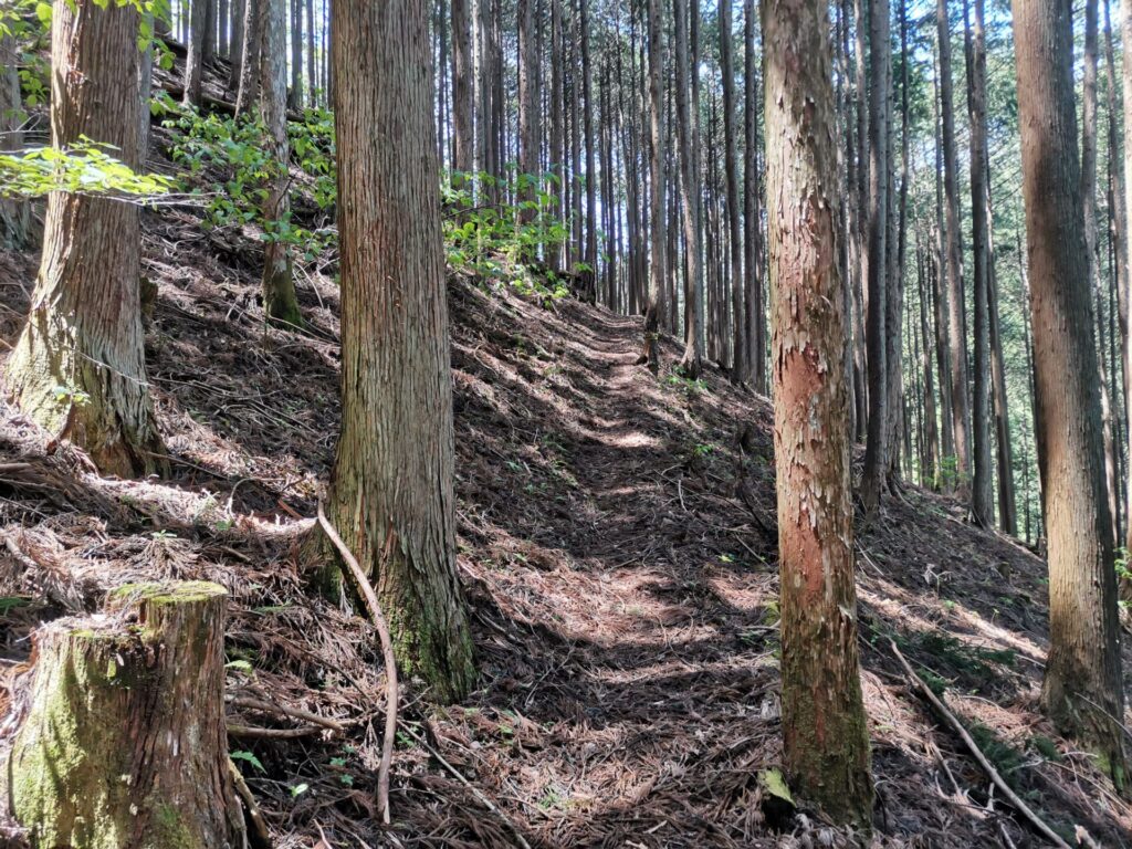 登山道
