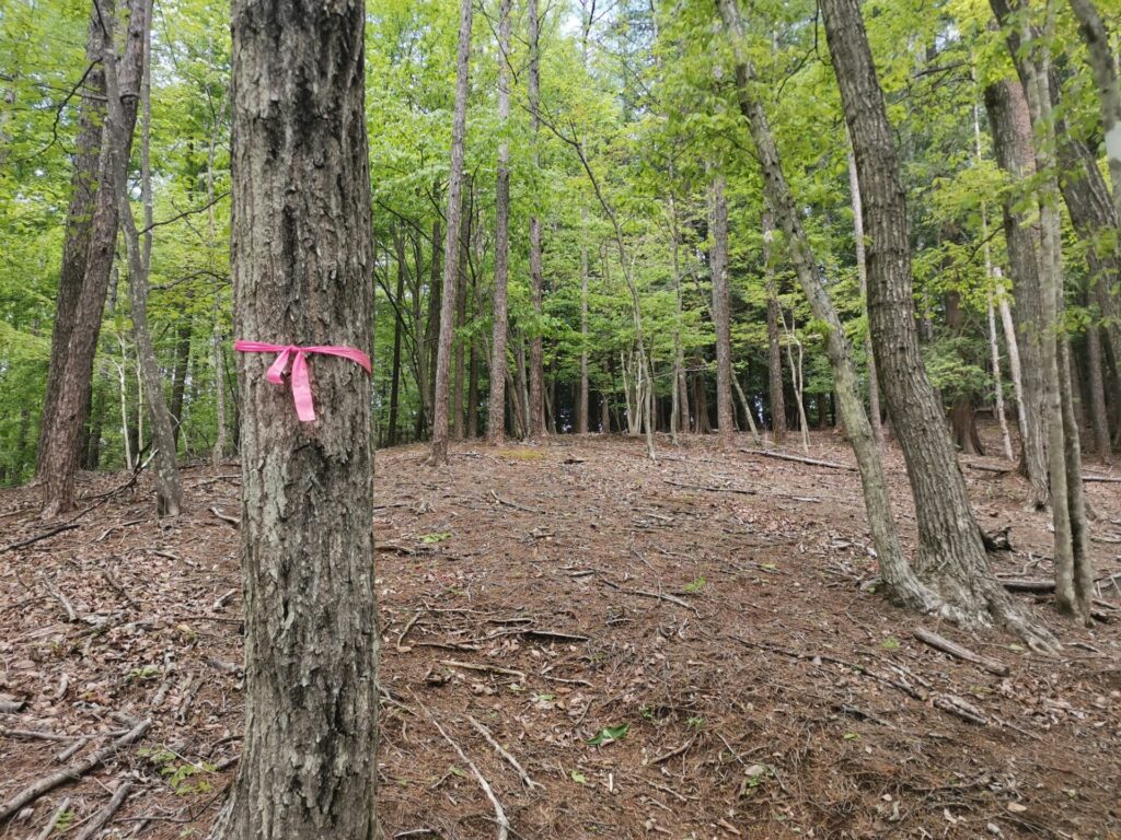 登山道 ピンクリボン