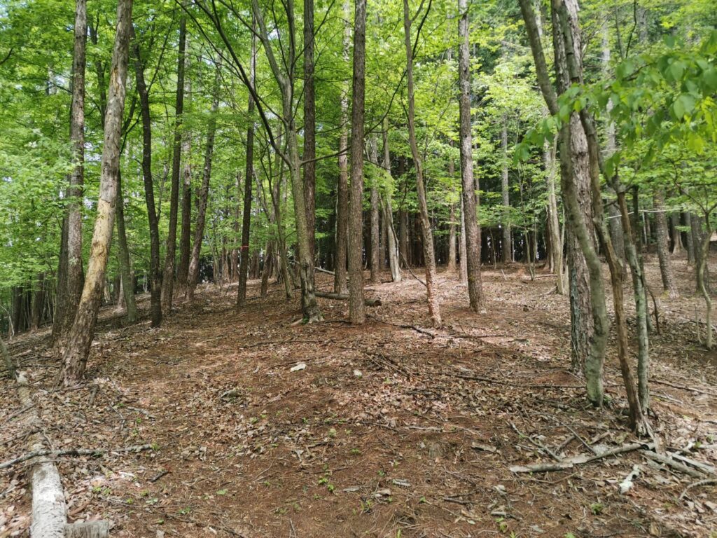登山道 ピンクリボン