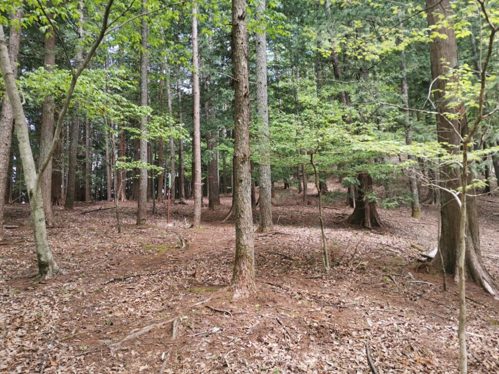 登山道 ピンクリボン