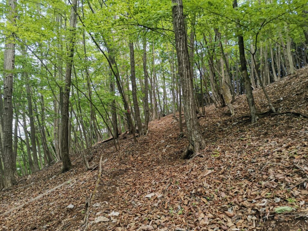 登山道