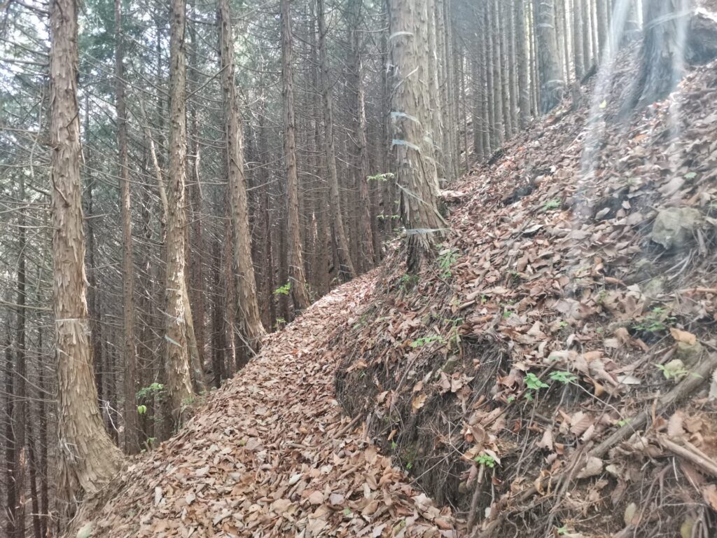 登山道 落ち葉