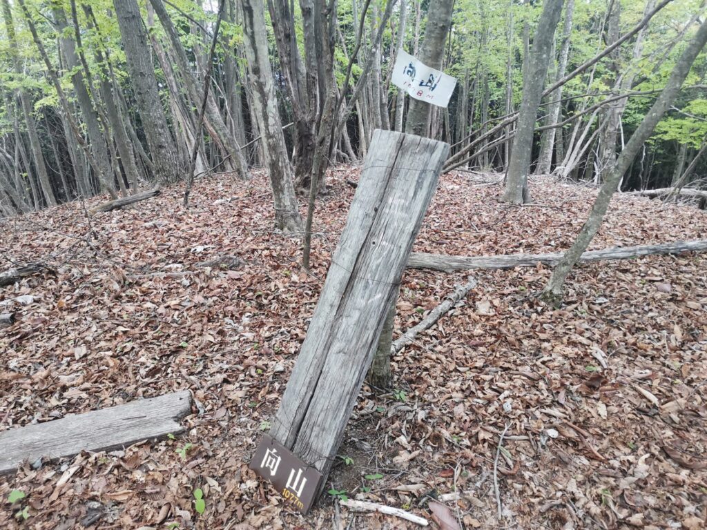 向山 山名板