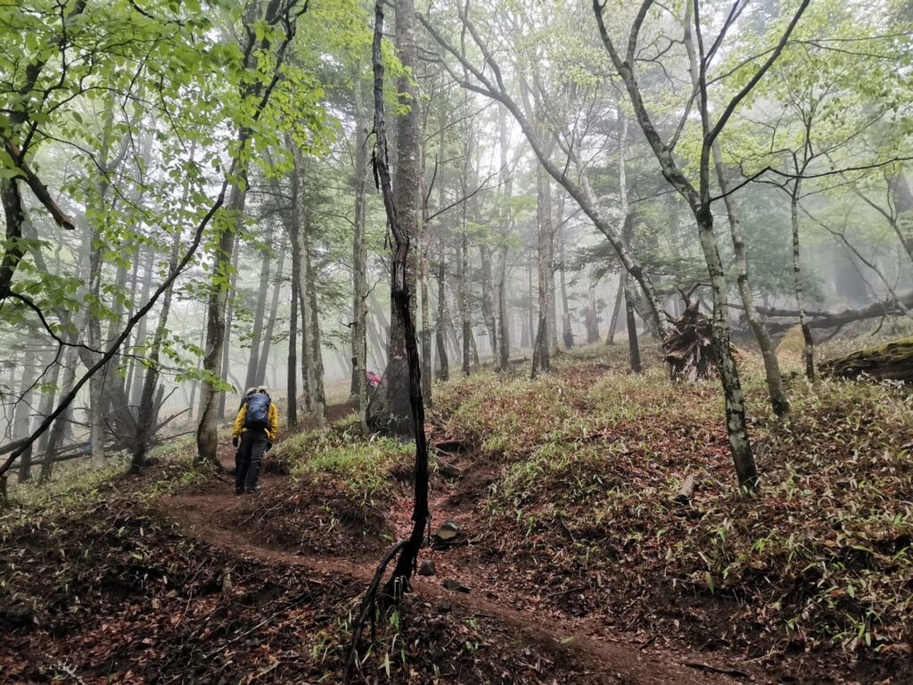 登山道