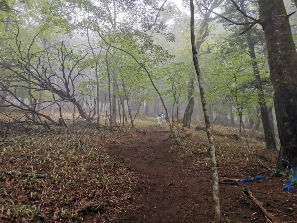 登山道