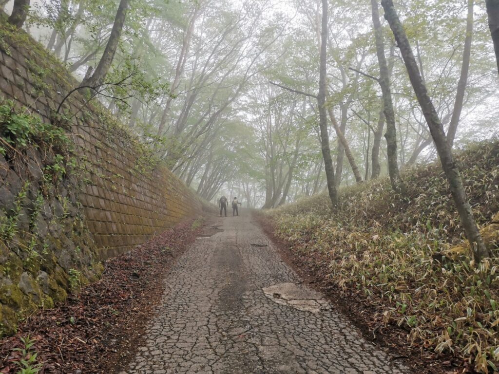 舗装道
