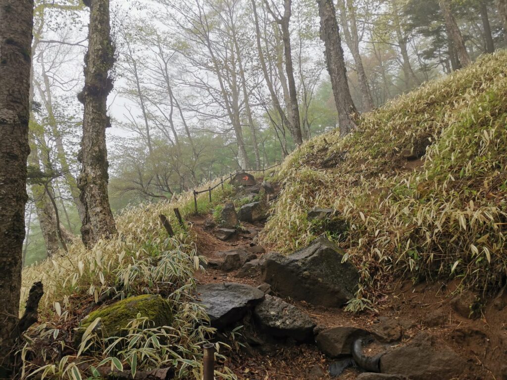 登山道 岩