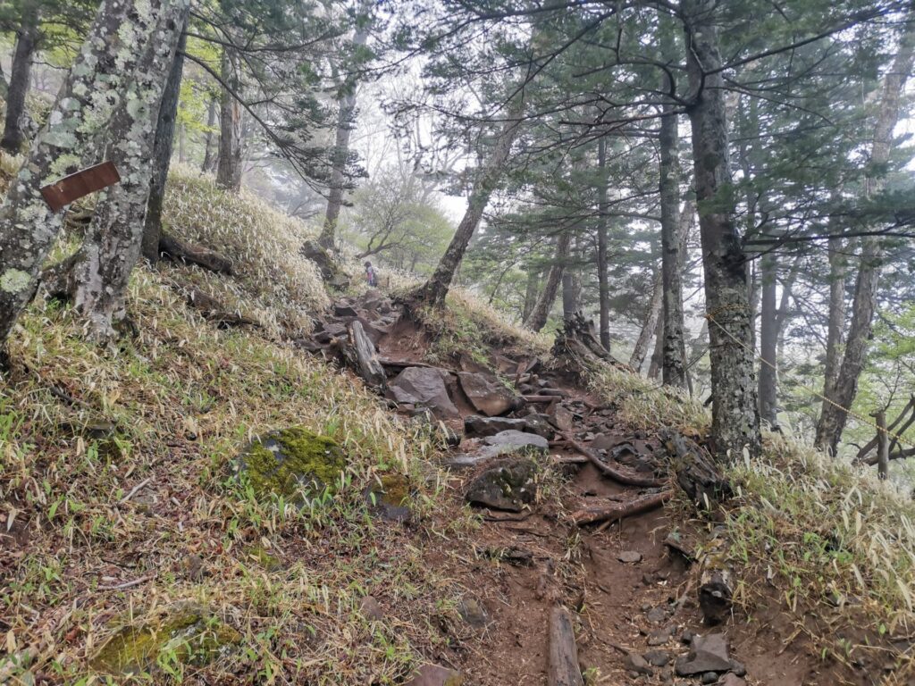 登山道 岩