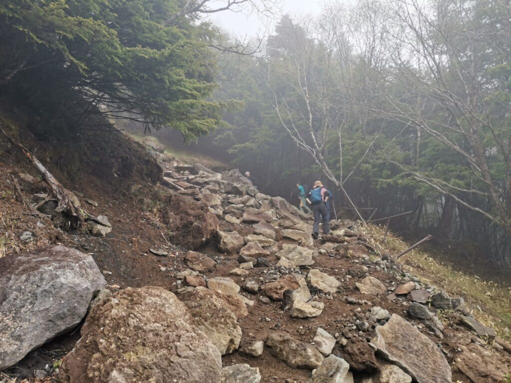 登山道 岩