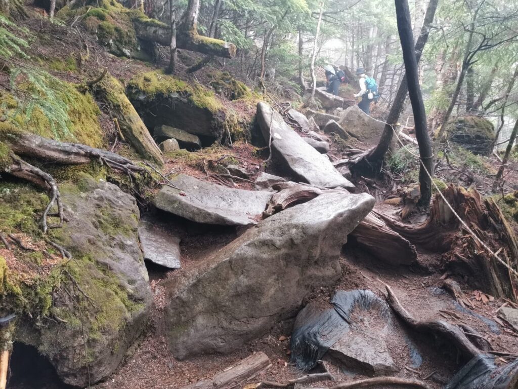 登山道 岩