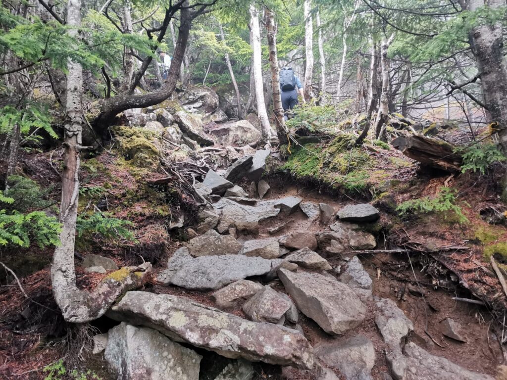 登山道 岩