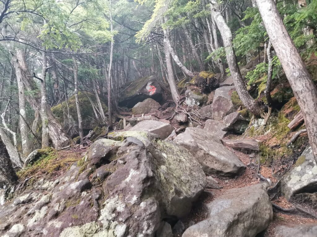 登山道 岩