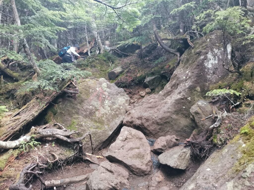登山道 岩