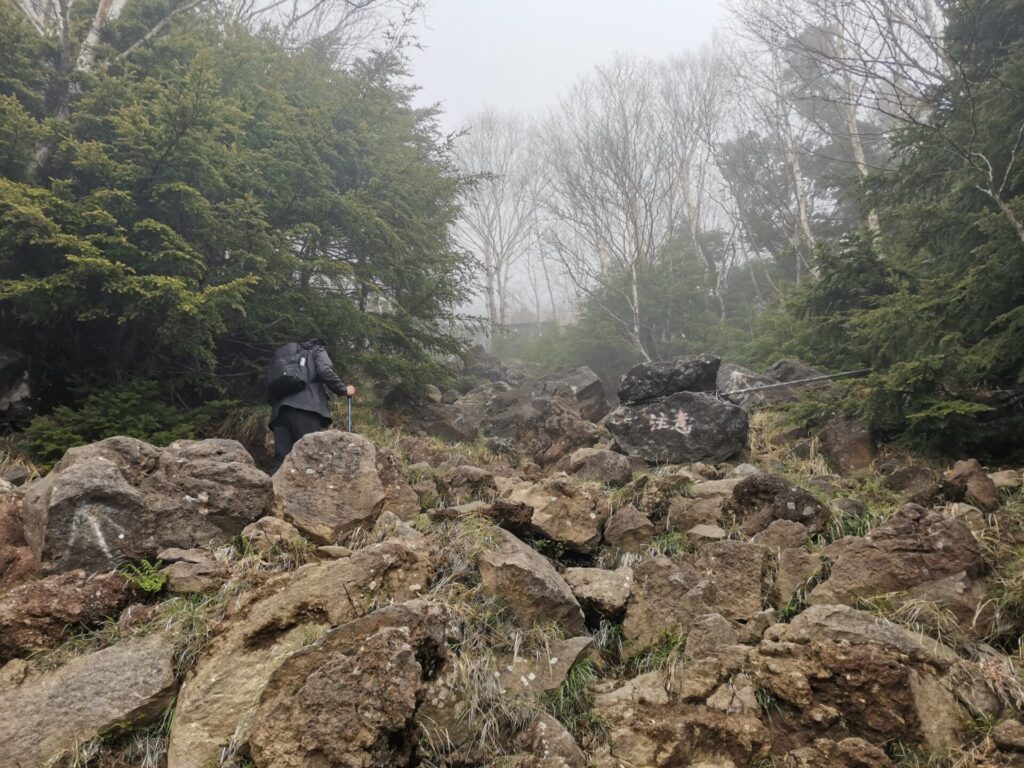 登山道 岩