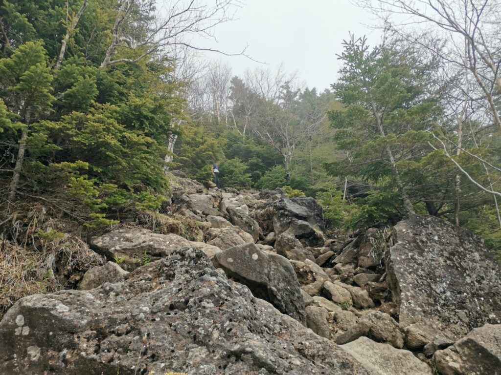 登山道 岩