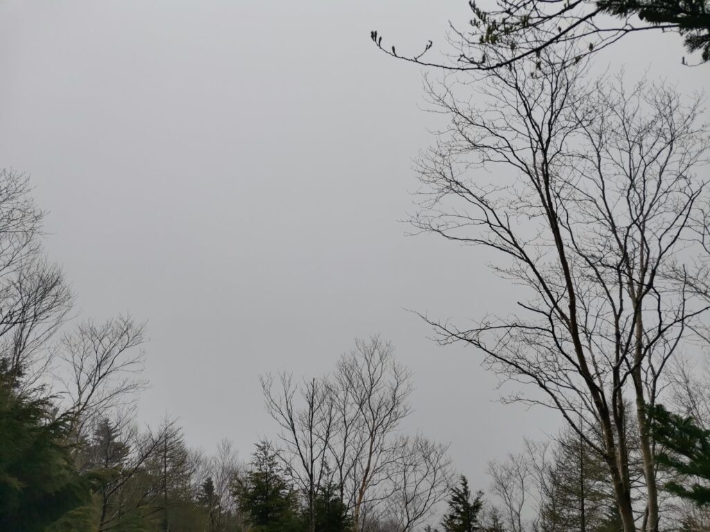 雲