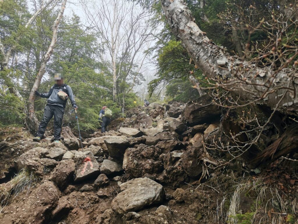 登山道 岩