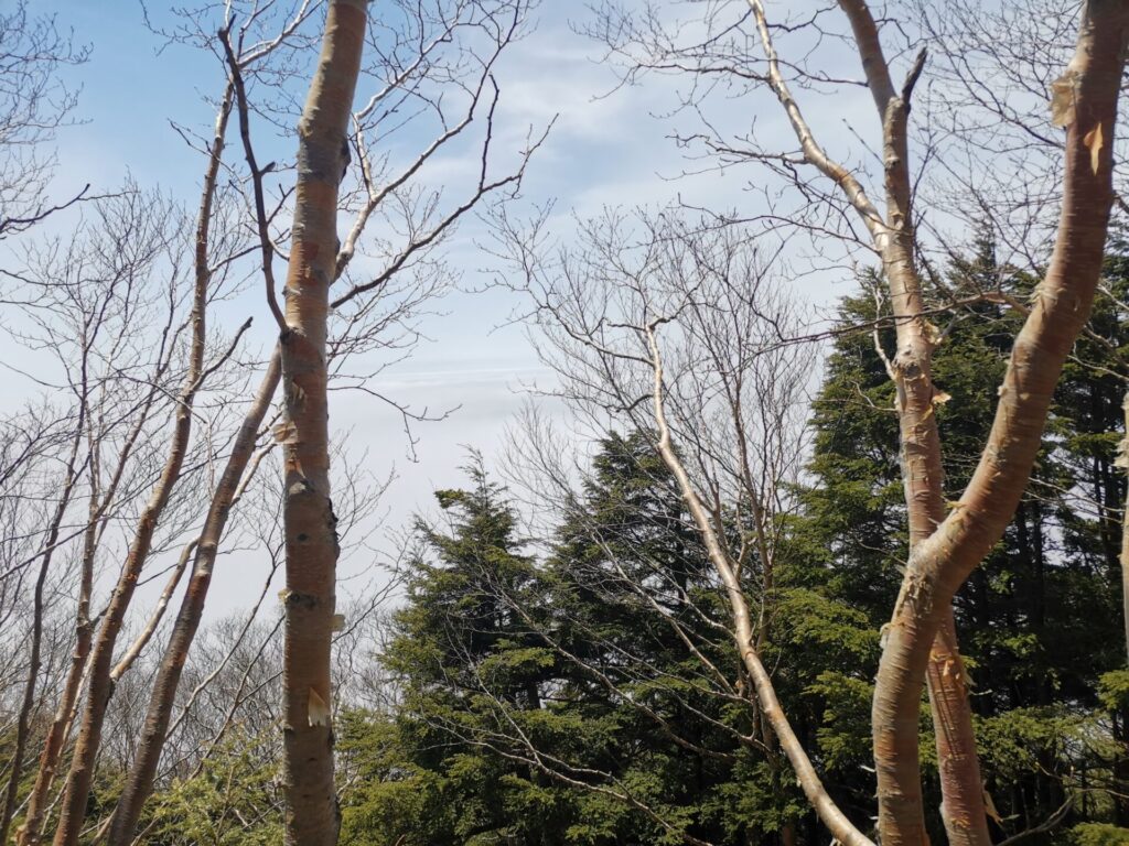 雲